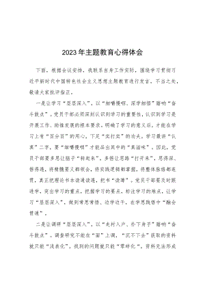 2023开展主题教育心得体会(13篇).docx