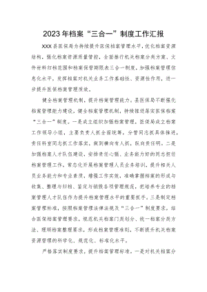 2023年档案“三合一”制度工作汇报.docx