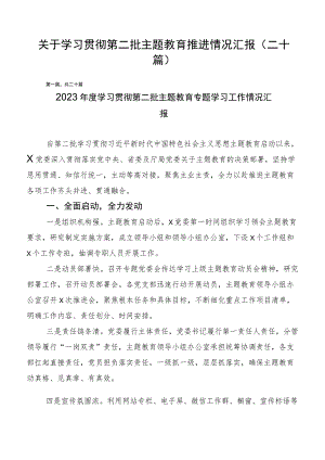 关于学习贯彻第二批主题教育推进情况汇报（二十篇）.docx