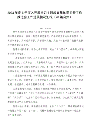 2023年度关于深入开展学习主题教育集体学习暨工作推进会工作进展情况汇报（20篇合集）.docx