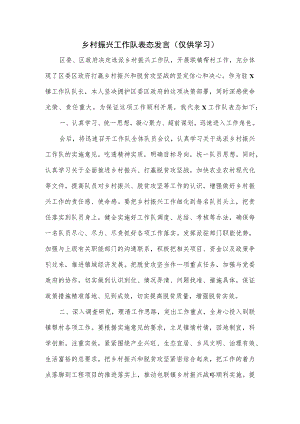 乡村振兴工作队表态发言.docx