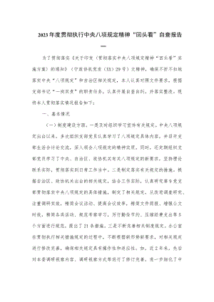 2023年度贯彻执行中央八项规定精神“回头看”自查报告2篇.docx