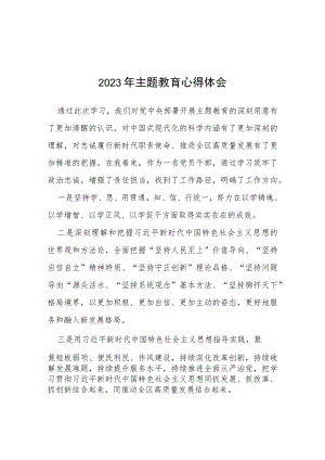 2023年关于开展主题教育的学习体会(13篇).docx