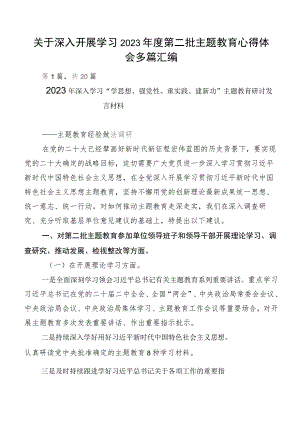 关于深入开展学习2023年度第二批主题教育心得体会多篇汇编.docx