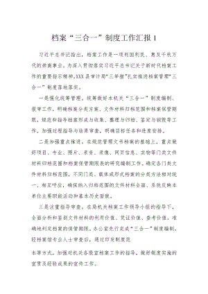 档案“三合一”制度工作汇报（2篇）.docx