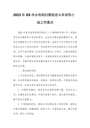 2023年XX市水利局扫黑除恶斗争领导小组工作要点.docx