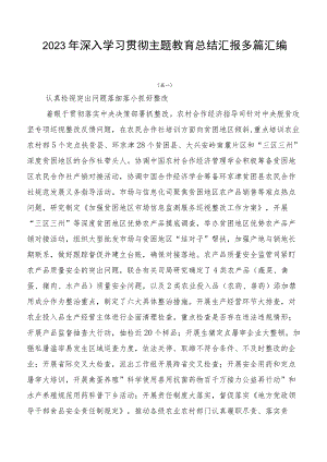2023年深入学习贯彻主题教育总结汇报多篇汇编.docx
