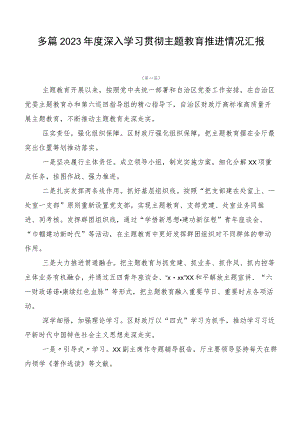多篇2023年度深入学习贯彻主题教育推进情况汇报.docx