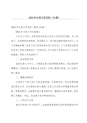 2023护士的工作总结（19篇）.docx