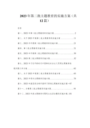2023年第二批主题教育的实施方案（共12篇）.docx