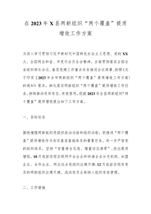 在2023年X县两新组织“两个覆盖”提质增效工作方案.docx