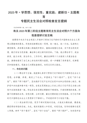2023年“学思想、强党性、重实践、建新功”主题教育专题民主生活会对照检查发言提纲.docx