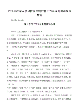2023年在深入学习贯彻主题教育工作会议的讲话提纲数篇.docx