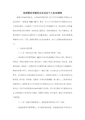 巡视整改专题民主生活会个人发言提纲.docx