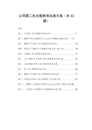 公司第二批主题教育实施方案（共12篇）.docx