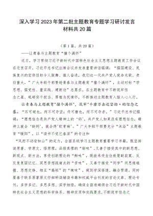 深入学习2023年第二批主题教育专题学习研讨发言材料共20篇.docx
