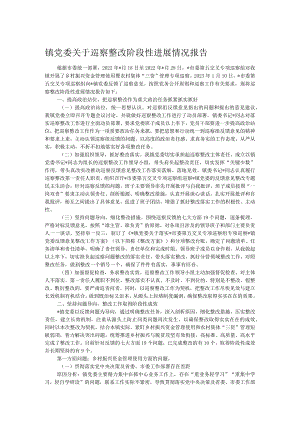 镇党委关于巡察整改阶段性进展情况报告.docx