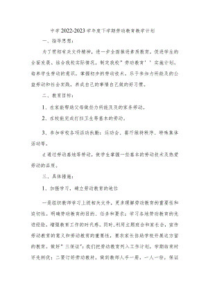 中学2022-2023学年度下学期劳动教育教学计划.docx