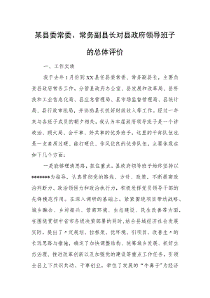 某县委常委、常务副县长对县政府领导班子的总体评价.docx