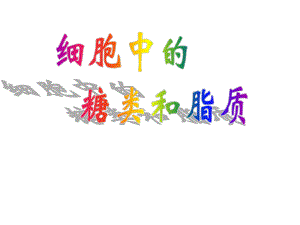 细胞中的糖类和脂质精品教育.ppt