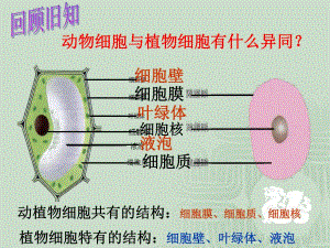 细胞的生活四课时精品教育.ppt