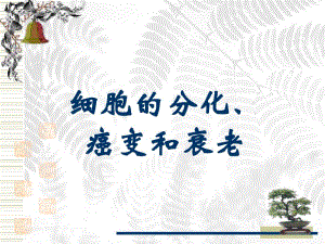 细胞的分化、癌变和衰老精品教育.ppt