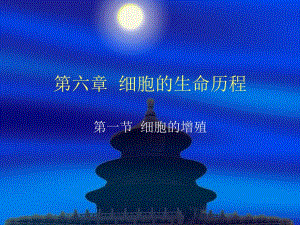 细胞的增殖.ppt精品教育.ppt