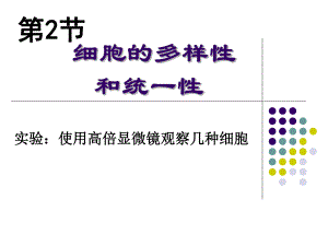 细胞的多样性和统一性课件张红艳精品教育.ppt