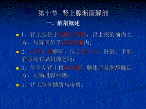 影像解剖肾上腺.ppt