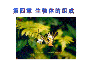 细胞的分裂与分化.ppt精品教育.ppt