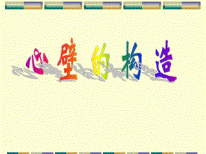 心壁的构造.ppt