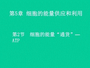 细胞中的能量供应和利用精品教育.ppt