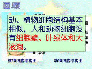 细胞的分裂与分化精品教育.ppt