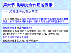 影响光合作用的因素.ppt