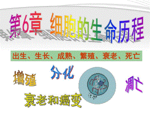 细胞的增殖(草)精品教育.ppt
