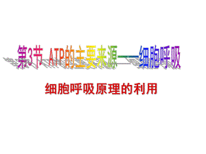 细胞呼吸原理的应用1111精品教育.ppt