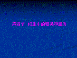 细胞中的糖类和脂类精品教育.ppt
