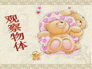 观察物体 精品教育.ppt