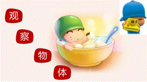 观察物体 精品教育.ppt