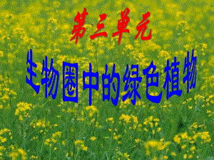 藻类苔藓与蕨类植物精品教育.ppt