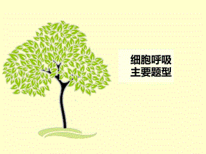 细胞呼吸习题课精品教育.ppt