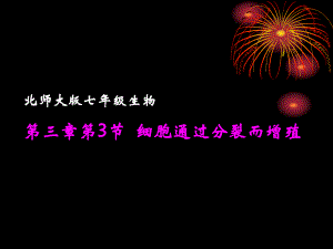 细胞通过分裂而增殖精品教育.ppt