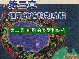 细胞的类型和结构精品教育.ppt