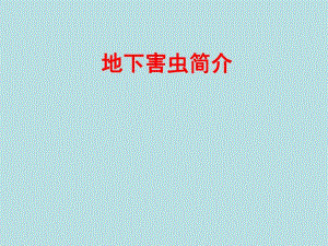 地下害虫简介.ppt