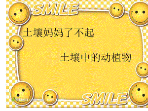 土壤妈妈了不起第五周.ppt