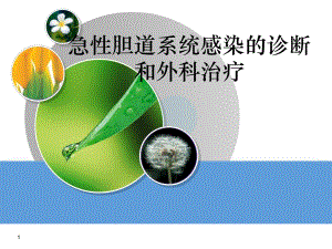急性胆道系统感染的诊断和外科治疗.ppt