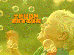 土地增值税清算审核讲解.ppt