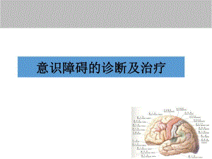 意识障碍诊断及治疗.ppt