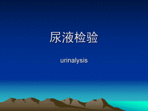 尿液检验.ppt