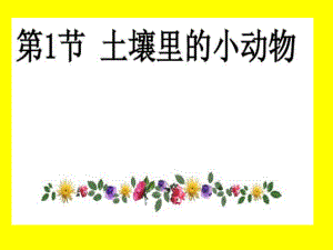 土壤里的小动物.ppt
